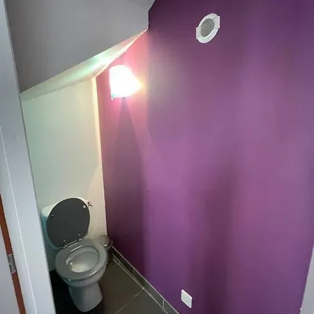 Belle Maison De Renovee Lavardac